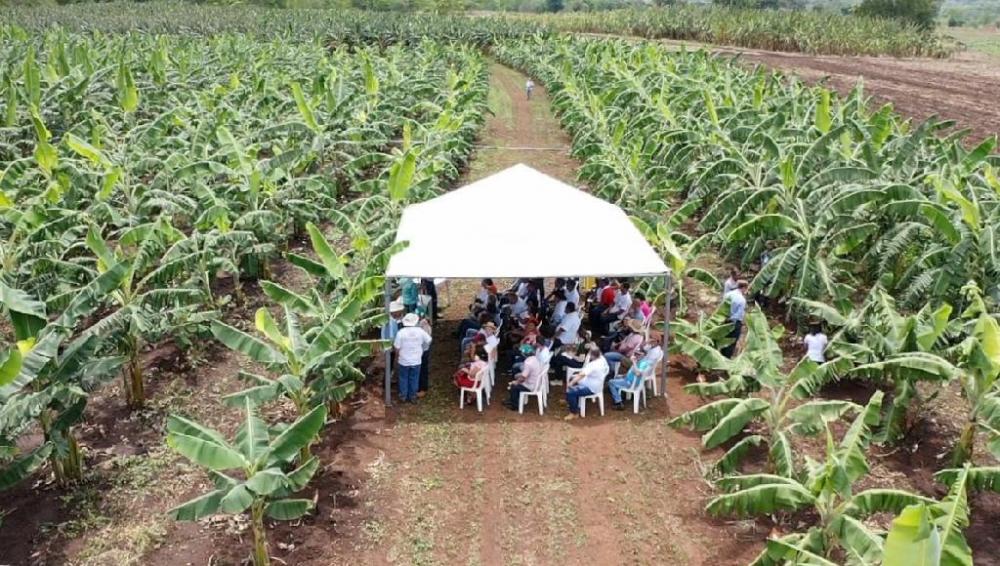 Empaer comemora 56 anos de trabalhos prestados ao desenvolvimento da agricultura em MT