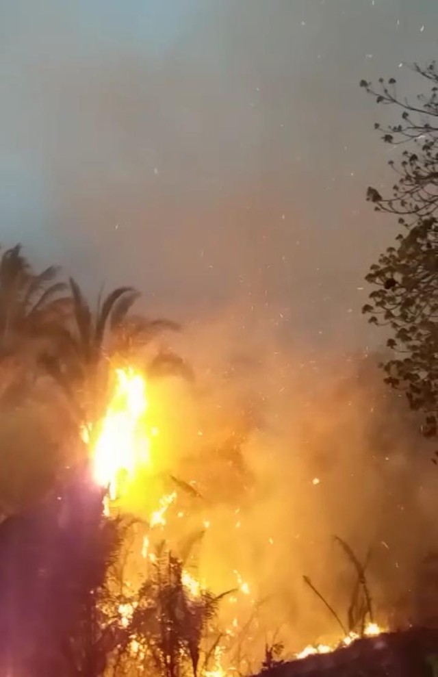 Incêndio iniciado há 5 dias destrói 30 propriedades rurais em MT