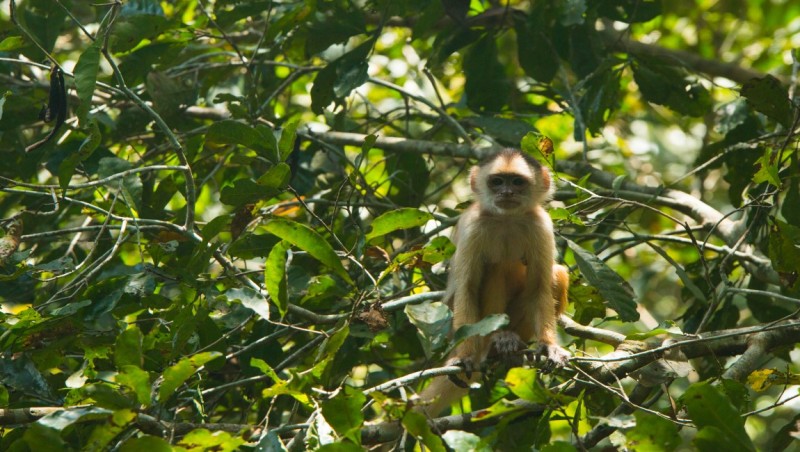 ONU coloca turismo no centro de políticas para proteção do meio ambiente e erradicação da pobreza