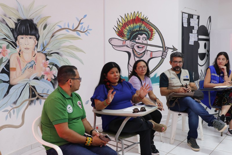 Ministra diz que é preciso garantir alimentos próprios dos yanomami