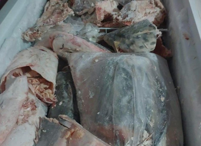 Sema e Polícia Ambiental apreendem 160 kg de pescado em Ponte Branca após denúncia