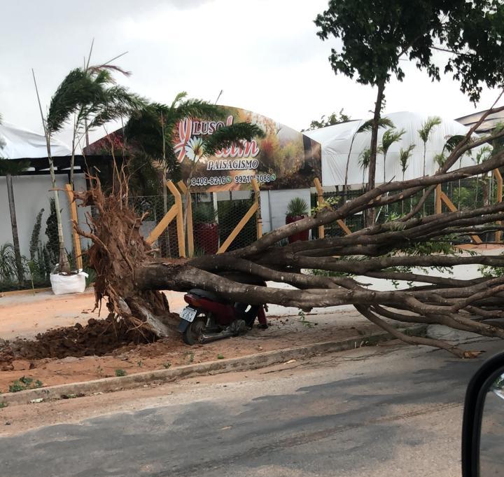 Duas cidades de Mato Grosso são atingidas por temporal