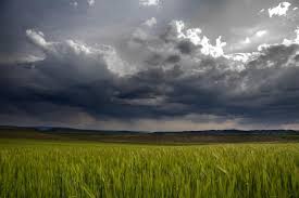 Chuvas em Mato Grosso devem ocorrer somente após segunda quinzena de outubro