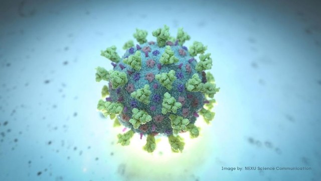 Coronavírus: MT tem 131 mil casos e mais de 3,6 mil mortes pela doença