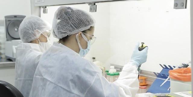 Treze mortes por Covid-19 são registradas em MT nesta segunda-feira