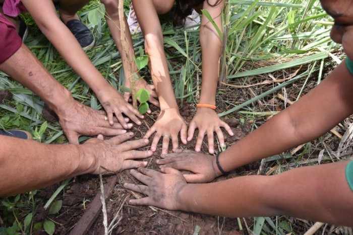 Estudantes da rede pública municipal de Educação participam de plantio de mudas no Parque das Nascentes