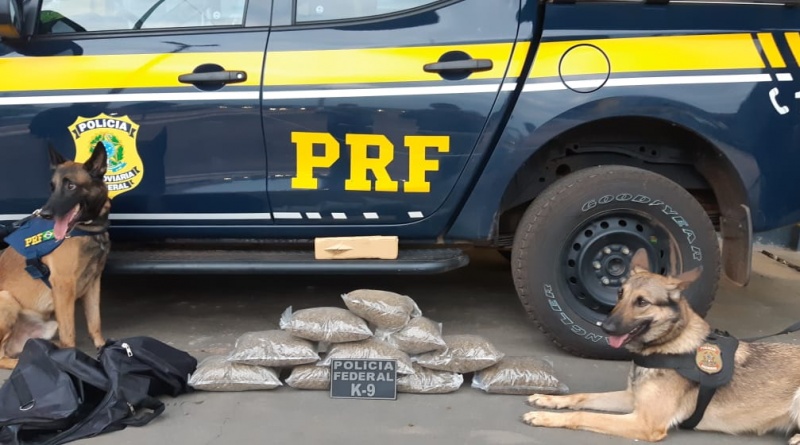 Ação conjunta entre PRF e PF resulta na apreensão de maconha em Rondonópolis