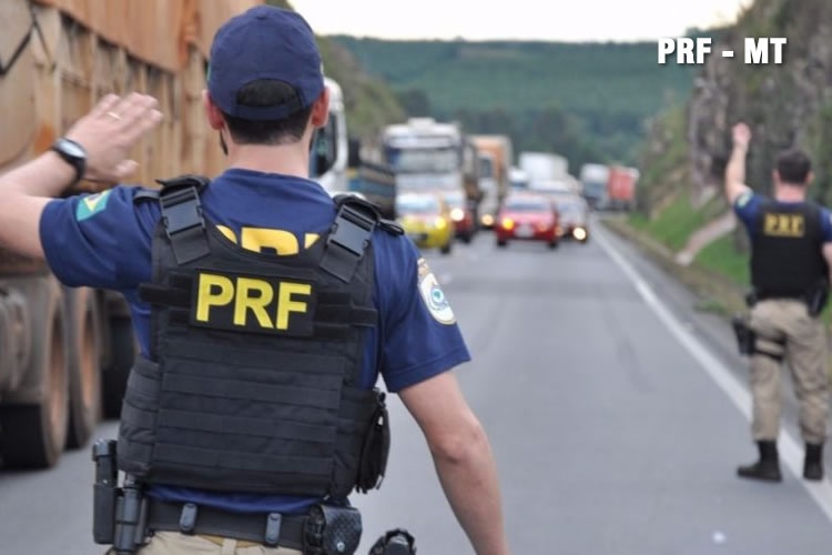 PRF apreende pássaro sendo transportado sem documentação na BR-163 em Lucas do Rio Verde