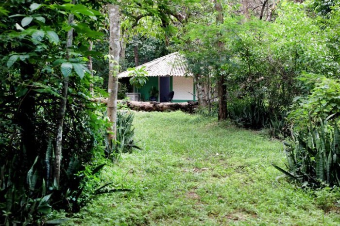 Horto Florestal dispõe de novo contato para agendamento de visitas escolares