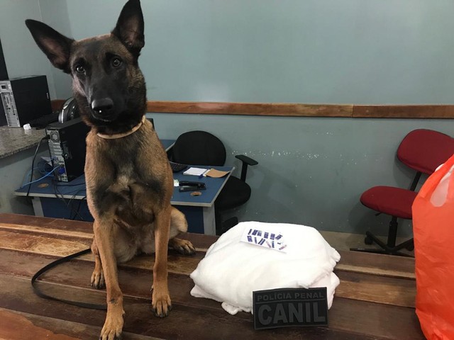 Visitante é detido ao tentar entregar 90 selos de LSD escondidos em cobertor para preso em penitenciária em MT