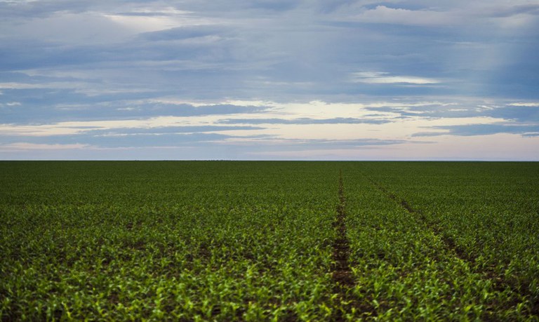 Registro de defensivos agrícolas de controle biológico bate recorde em 2020