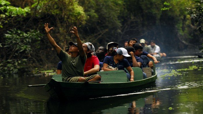 Amazônia: gigante bioma verde que incentiva o turismo de natureza pelo Brasil