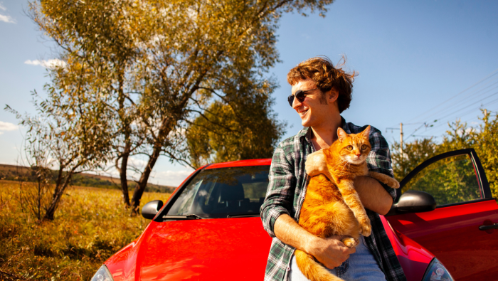 Conheça destinos para levar seu bichinho de estimação