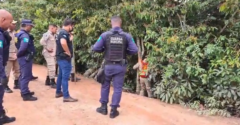Fralda é encontrada em vegetação próxima a MT 449