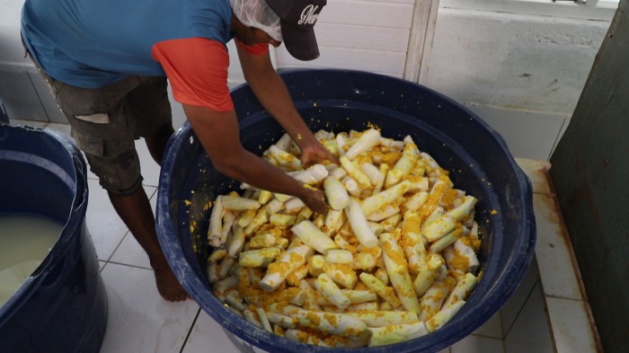 Agricultura familiar pode melhorar merenda escolar indígena