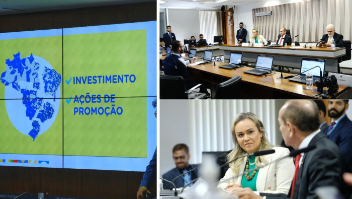 Senadores elogiam atuação de Daniela Carneiro no Ministério do Turismo