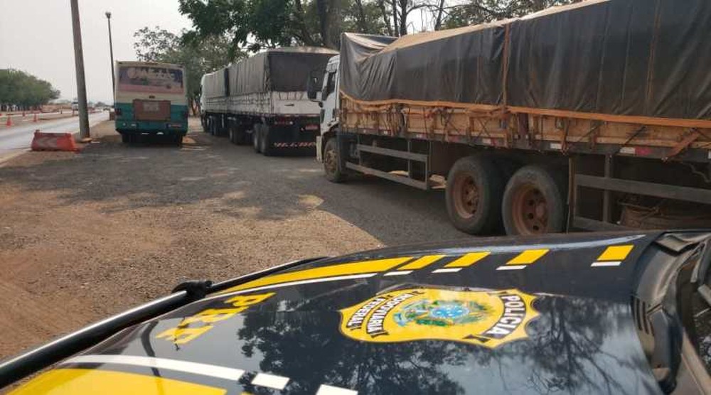 23 pessoas são autuadas por crimes ambientais no fim de semana em MT