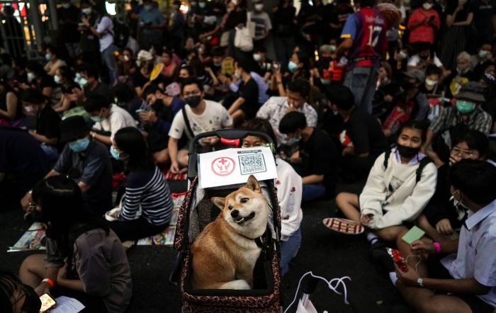 Veja as imagens que são destaques nesta terça-feira (23)