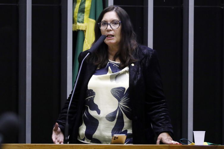 Bia Kicis é eleita presidente da CCJ da Câmara dos Deputados