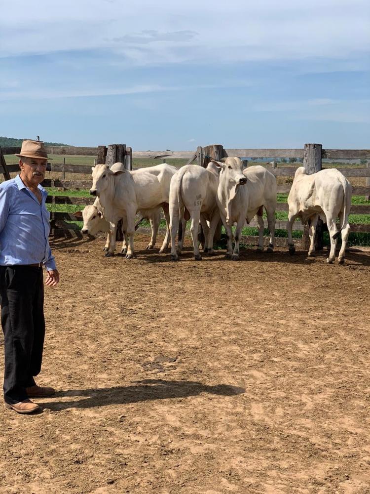 Fugitivos de presídio em GO roubam caminhonete e matam fazendeiro em MT, diz PM