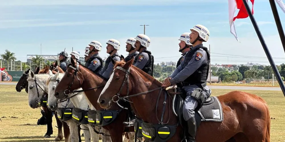 Projeto que autoriza doação de imóvel para utilização da Cavalaria da PM recebe parecer favorável das Comissões