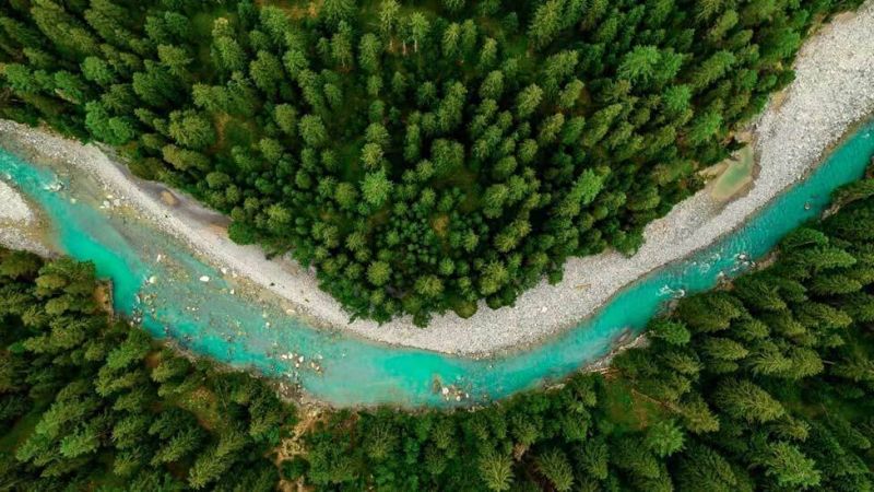 L’Oréal revela metas de sustentabilidade para 2030