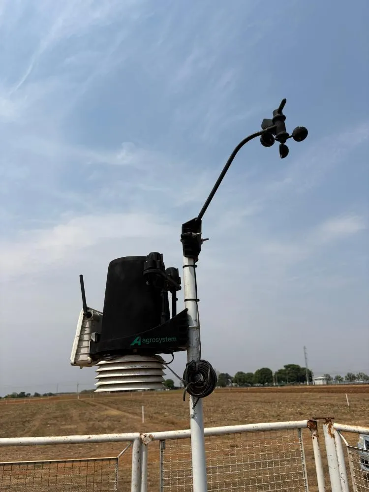 Chuva de quase 100 mm em Lucas do Rio Verde marca início do período chuvoso e reforça expectativa para o plantio da soja