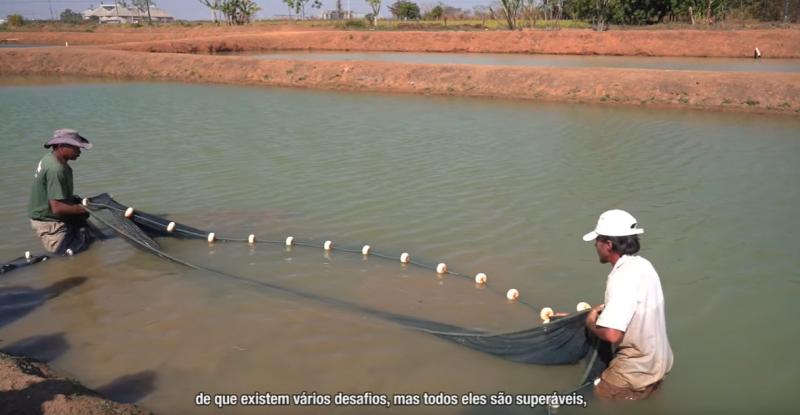 Curso de Cultivo Camarão